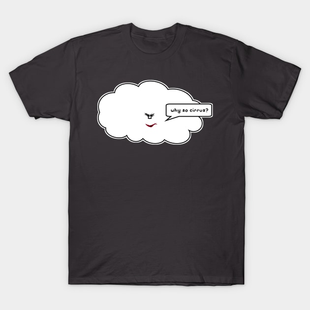 why so cirrus? T-Shirt by paintbydumbers